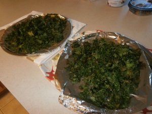 Once bunch of kale made two baking sheets of kale chips.  One plate was for me and was mild; the other was made with a cajun spice for my husband.  He uses his kale chips like croutons on his salads.  © Photo by Florence Ricchiazzi Lince